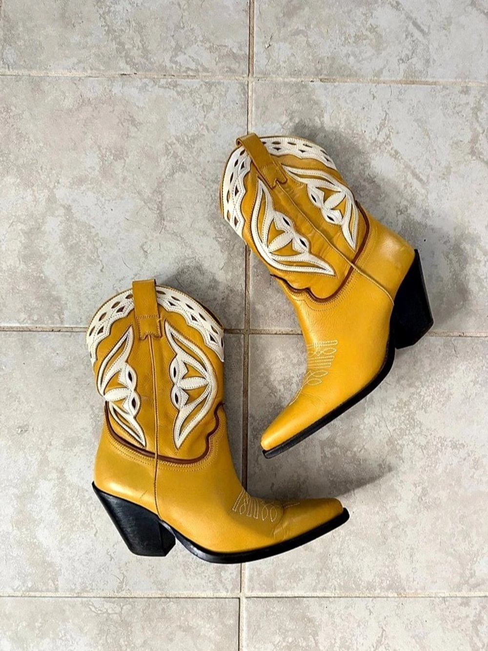 Toral Butterfly Cowboy Boot (Rare)